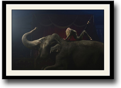 

Girl on Elephant Fine Art Print(10 inch X 14 inch, Framed)
