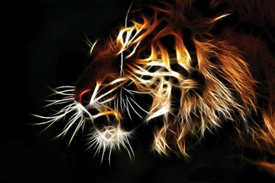 

Posterhouzz Fine Art Print(12 inch X 18 inch, Rolled)