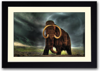 

Mammoth Animal Artwork Fine Art Print(14 inch X 20 inch, Framed)