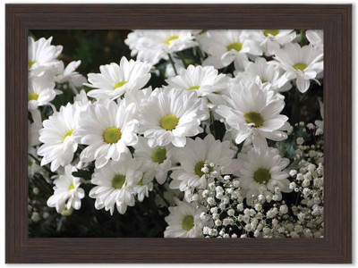 

Flowers Themed Framed Poster Photographic Paper(13.5 inch X 10 inch, Box Packing)
