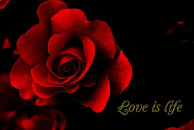 

Posterhouzz Love Is Life Poster Fine Art Print(12 inch X 18 inch, Rolled)