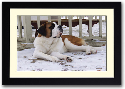 

Cute dog Fine Art Print(14 inch X 20 inch, Framed)