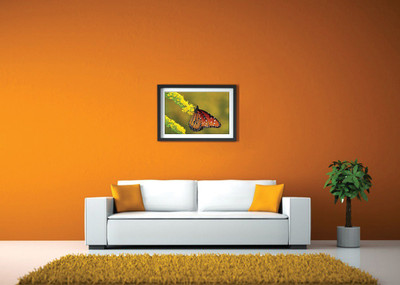 

Butterfly On Yellow Flowers Fine Art Print(14 inch X 20 inch, Framed)