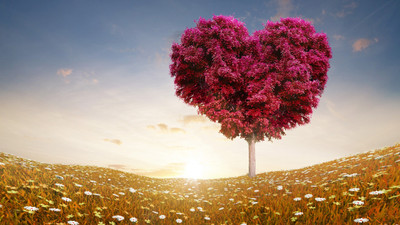 

Love Tree Poster Paper Print(12 inch X 18 inch, Rolled)