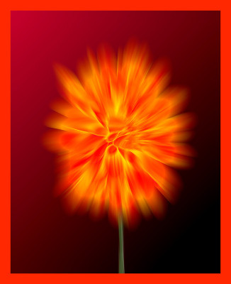 50% OFF on Divine Dahlia Paper Print(29 inch X 24 inch) 50% OFF on Divine Dahlia Paper Print(29 inch X 24 inch)