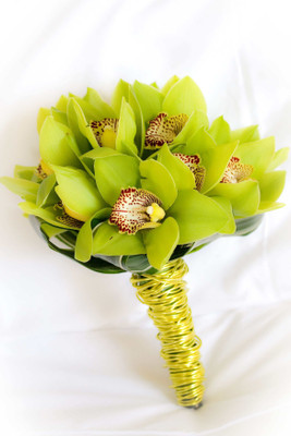 

Posterhouzz Flower Fine Art Print Poster Fine Art Print(18 inch X 12 inch, Rolled)