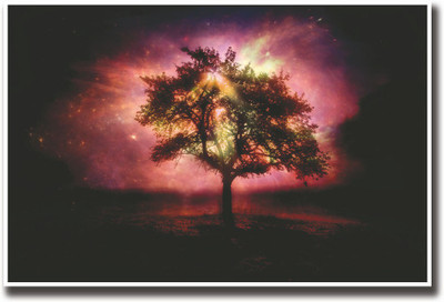 

Light Through Tree Fine Art Print(12 inch X 18 inch, Rolled)