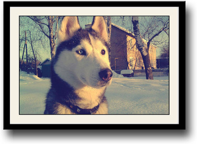 

Dog in snow Fine Art Print(10 inch X 14 inch, Framed)