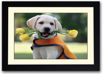 

Dog With Yellow Roses Fine Art Print(14 inch X 20 inch, Framed)