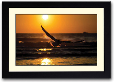 

Eagle sunset Fine Art Print(14 inch X 20 inch, Framed)