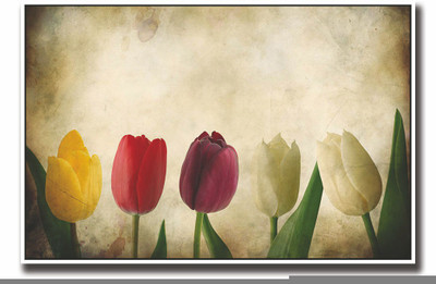 

Posterhouzz Five Beautiful flowers Fine Art Print(12 inch X 18 inch, Rolled)