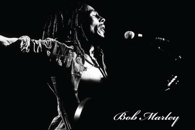 

Posterhouzz Bob Marley Poster Paper Print(12 inch X 18 inch, Rolled)
