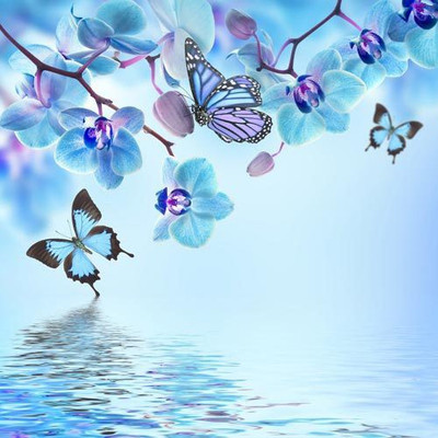 

Nature Fine Art Print(30 inch X 30 inch, Rolled)