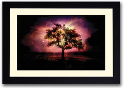 

Light Through Tree Fine Art Print(14 inch X 20 inch, Framed)