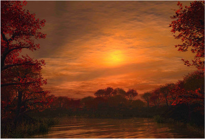 Nature Paper Print(19 inch X 13 inch, Rolled)