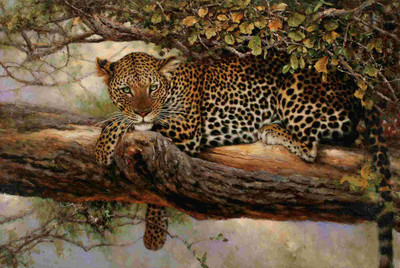 

Posterhouzz Animal Fine Art Print Poster Fine Art Print(12 inch X 18 inch, Rolled)