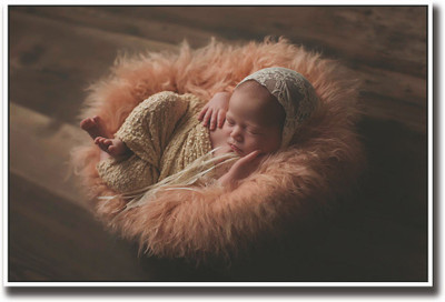 

Baby in cute orange fur basket Fine Art Print(12 inch X 18 inch, Rolled)