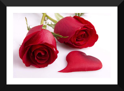 

Tallenge - Valentine's Day Gift - Red Roses - Premium Quality A3 Size Framed Poster Paper Print(17 inch X 12 inch, Framed)