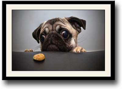 

Cute pug with a cookie Fine Art Print(10 inch X 14 inch, Framed)