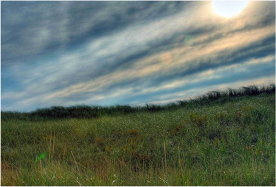 

Nature Paper Print(19 inch X 13 inch, Rolled)