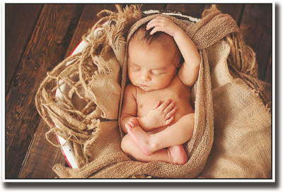 

Cute baby on brown sack Fine Art Print(12 inch X 18 inch, Rolled)