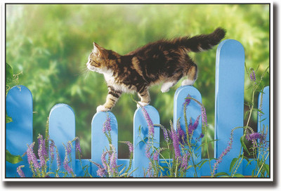 Cat walking on Fence Fine Art Print(12 inch X 18 inch, Rolled)
