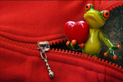 

poster of frog in zip Fine Art Print(12 inch X 18 inch, Rolled)