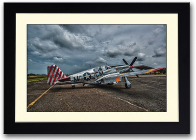 

Vintage Airplane Fine Art Print(14 inch X 20 inch, Framed)