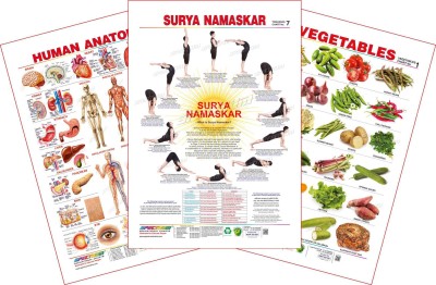 Set of 3 Educational Wall Charts (Human Anatomy, Surya Namaskar & Vegetables 1) Paper Print(28 inch X 19 inch, Rolled)