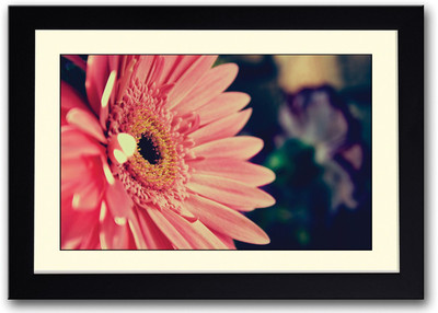 

Wow Pink Flower Fine Art Print(14 inch X 20 inch, Framed)
