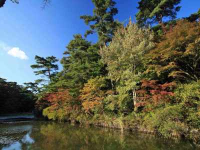 

Posterhouzz Autumn Fine Art Print Poster Fine Art Print(12 inch X 18 inch, Rolled)