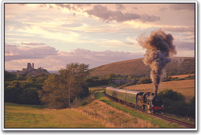 

Train Running Through Fields Paper Print(12 inch X 18 inch)