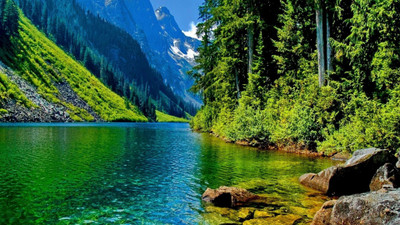 

Printelligent decorative beautiful nature poster Paper Print(14 inch X 26 inch, Rolled)