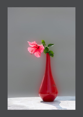 50% OFF on Hibiscus in Canvas Art(28 inch X 20 inch)