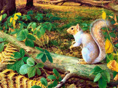 Posterhouzz Animal Fine Art Print Poster Fine Art Print(12 inch X 18 inch, Rolled)