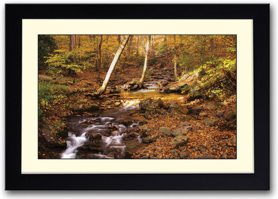 

River flowing in forest Amazing Fine Art Print(14 inch X 20 inch, Framed)