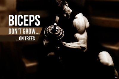 

Biceps don’t grow on trees Paper Print(18 inch X 12 inch)