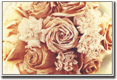 

Brown roses vintage Fine Art Print(12 inch X 18 inch, Rolled)