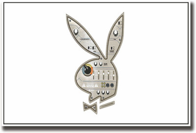 

Radio console bunny rabbit art Fine Art Print(12 inch X 18 inch, Rolled)