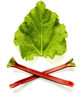 

Art For Kitchen - Rhubarb - Medium Size Rolled Digital Art Print On Photographic Paper(18 inch X 18 inch, Rolled)
