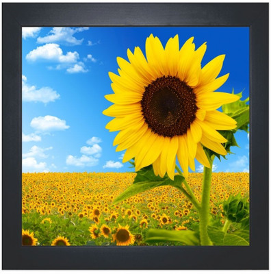 

Art Factory Nature CF-1764(20x20) Canvas Art(20 inch X 20 inch)