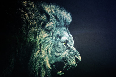 

Oshi - Blue Lion Fine Art Paper Print(12 inch X 18 inch, Streched)
