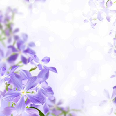 

Posterhouzz Flower Fine Art Print Poster Fine Art Print(18 inch X 12 inch, Rolled)