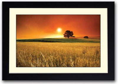 

Beautiful farm Fine Art Print(14 inch X 20 inch, Framed)