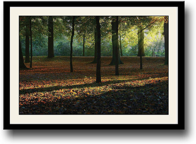 

Autumn Trees Fine Art Print(10 inch X 14 inch, Framed)