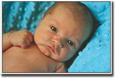 

Angry little baby Fine Art Print(12 inch X 18 inch, Rolled)