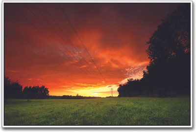Orange Sky Green Grass Paper Print(12 inch X 18 inch) Orange Sky Green Grass Paper Print(12 inch X 18 inch)
