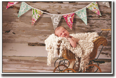 

Baby sleeping on wooden rack Fine Art Print(12 inch X 18 inch, Rolled)