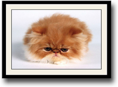 

Brown fluffy cat Fine Art Print(10 inch X 14 inch, Framed)