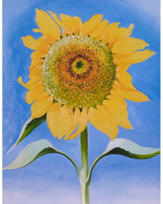 

Modern Masters Collection - Sunflower By Georgia O'Keeffe - Ready To Frame Rolled Digital Art Print On Photographic Paper(24 inch X 18 inch, Rolled)